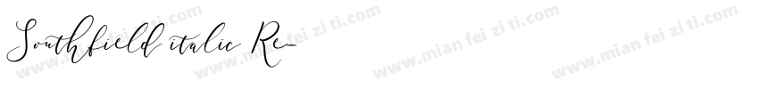 Southfield italic Re字体转换